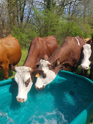 Photo n°29 de Ferme de la Matinière Julien Boulord à Saint-Blaise-du-Buis (Ferme)
