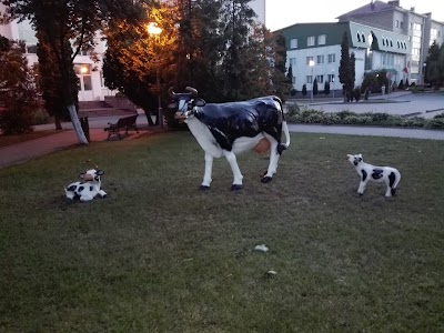 Photos of Городской парк