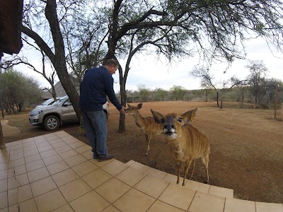 Photos of MMC Inyala Game Lodge