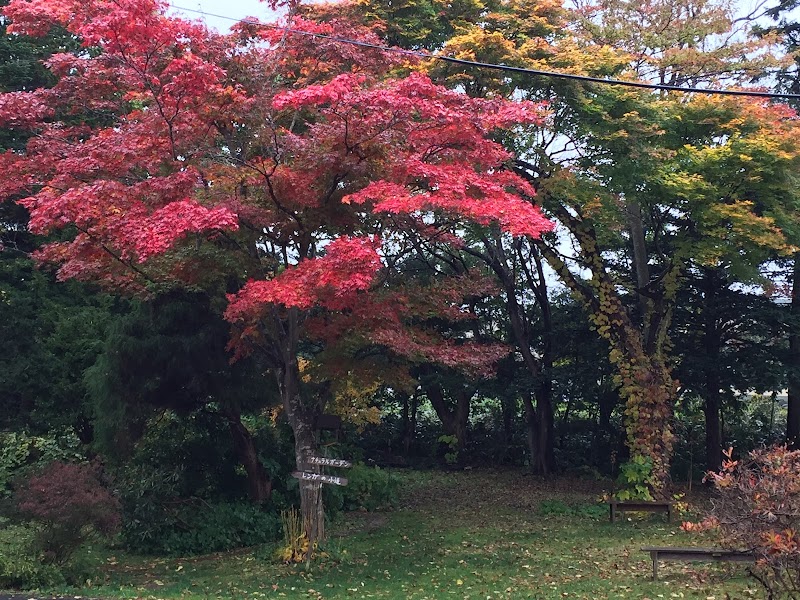 カフェくまいちご
