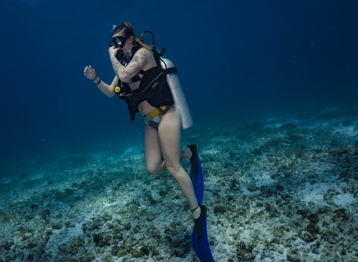 Squalo divers puerto morelos