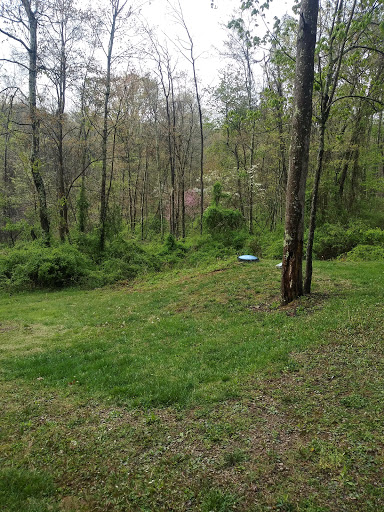 Firefly Cabin - Visual