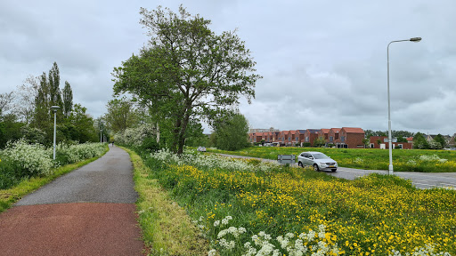 Fietspad Grienedyk - Thumbnail