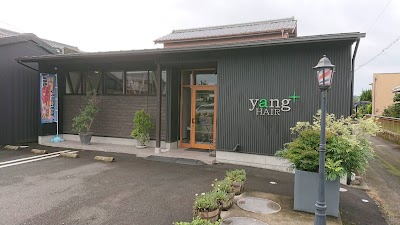 ヤングヘア・プラス