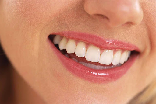 Dr. Danute E Abriani DDS