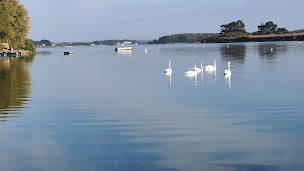 Photo n°128 de Madame Mouette Saint-Cado à Belz (Bar à tapas)