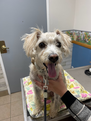 Pacific Pet Hospital - Thumbnail
