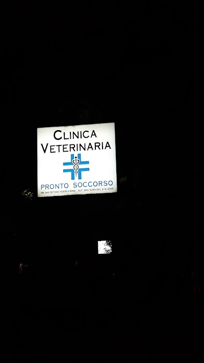 Photos of Private Veterinary Clinic Clock