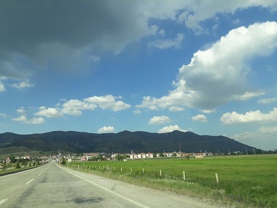 Çardak