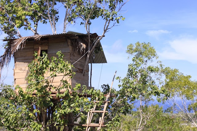 Rumah Pohon