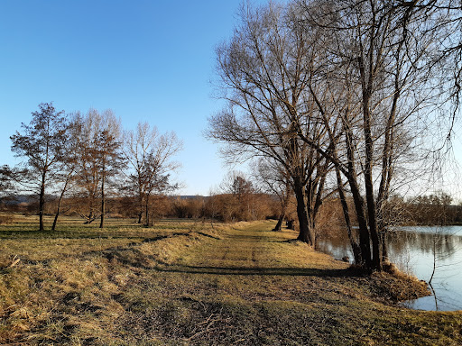 Wörthsee - Visual