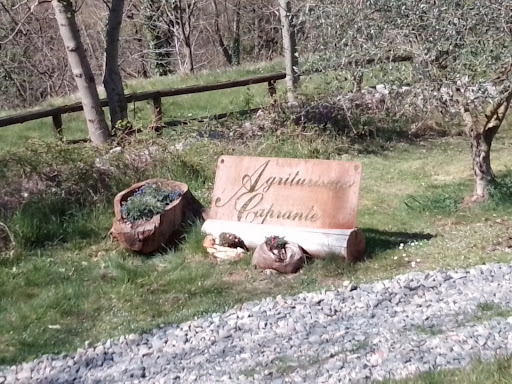 Caprante - Visual