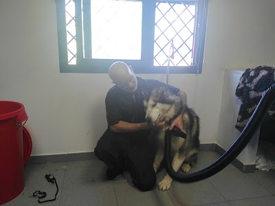 Photos of Mascota Planet