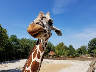 zoo