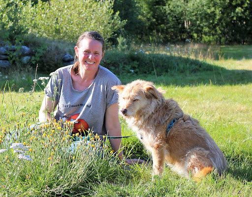 Sensory Garden for dogs Coach - Thumbnail