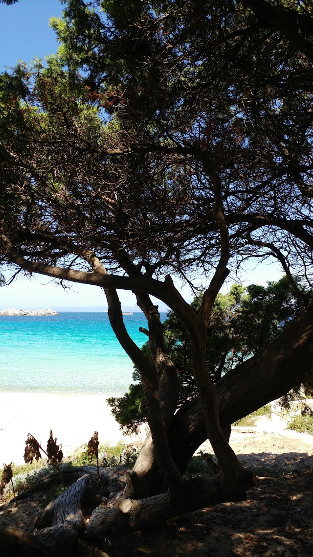 Spiaggia Rena Bianca