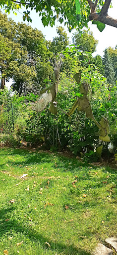 Kunstgarten Ziesing - Thumbnail