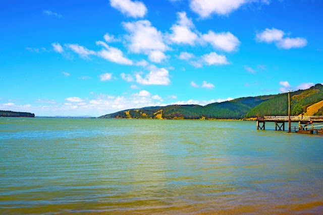 Port Waikato