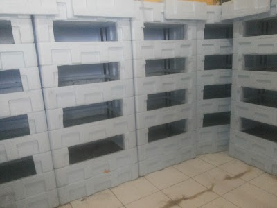 Photos of GANKZOE'S GUPPY FARM