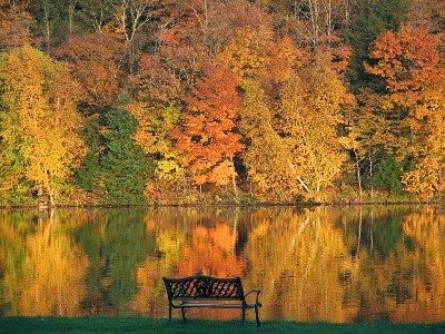 Flambeau Lodge and Campground - Thumbnail