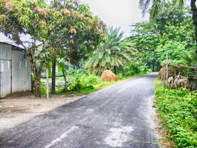 mosque