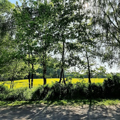 Photos of Parkplatz f&uuml;r die Badestelle am Kl&uuml;thsee