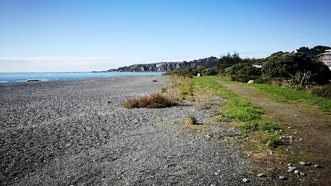 Seal Swim Kaikoura Open Times
