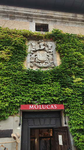Molucas - Visual