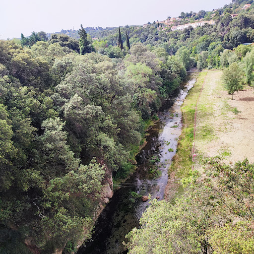 Trans en Provence - Thumbnail