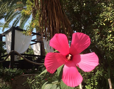 Photos of Barracuda Hotel Resort