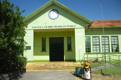 school