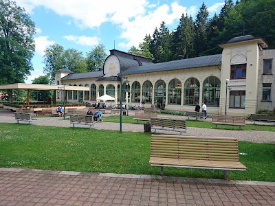Photos of Hotel Vladim&iacute;r