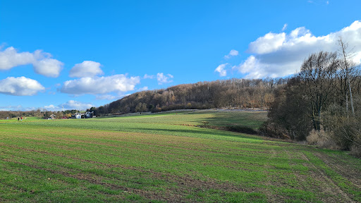 Bismarckturm, Bad Salzuflen - Thumbnail