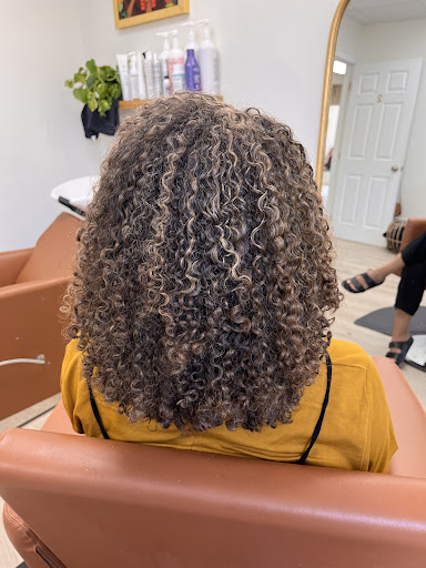 The Curl Studio - Visual