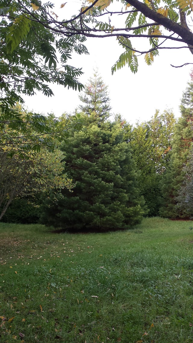 Parc de l’Eglantier