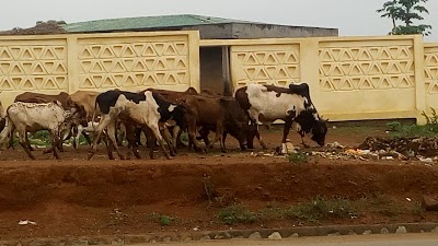 Photos of Boutique Bachirou