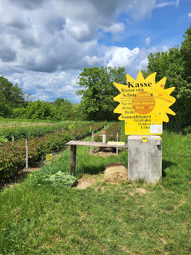 Blumen selbst schneiden / blumen_by_berges