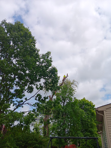 OrellanaTreeServicesLLC