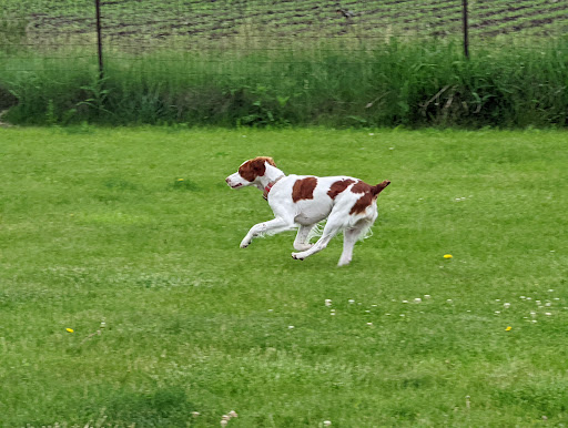 Woof Run Dog Park - Thumbnail