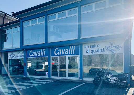Cavalli - Visual