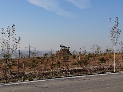Photos of پارک پیوندها