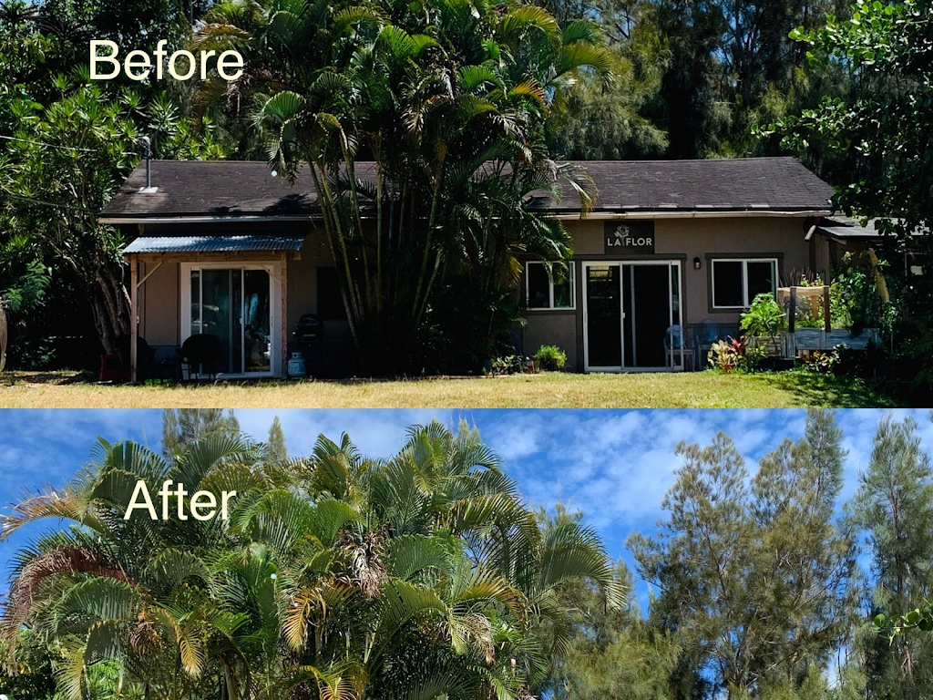 ISLAND PRESSURE WASHING