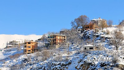 Photos of Zaarour Club