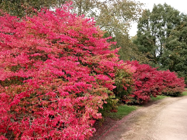 Althorp Estate