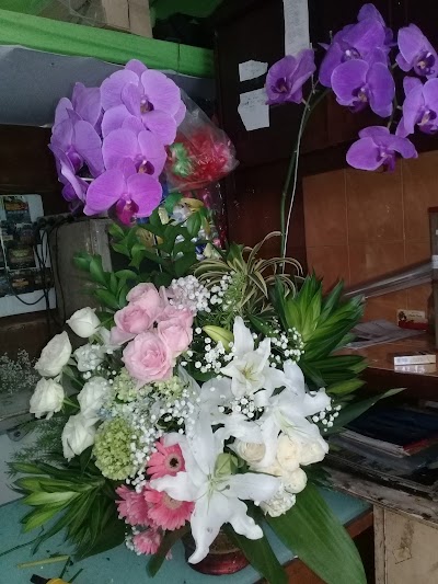 Photos of toko BUNGA senopati