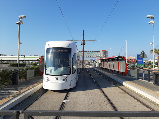 Terminal Roccella - Visual