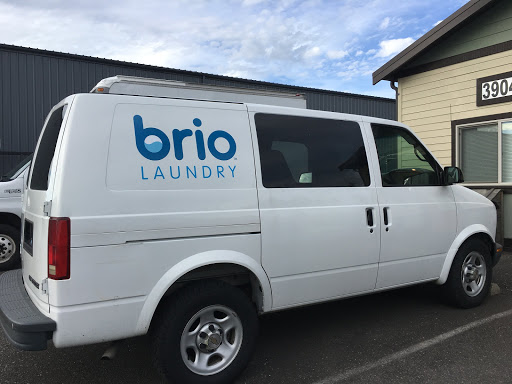 Absolute Laundry Systems - Visual