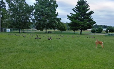 Athens West State Dog Park