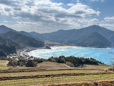 木与地区の棚田