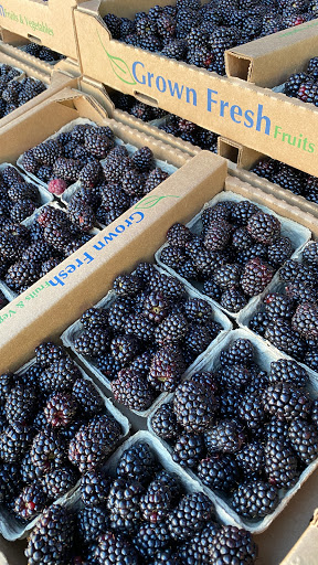 Tahoe City Farmers' Market, Commons Beach (May-Oct) - Thumbnail